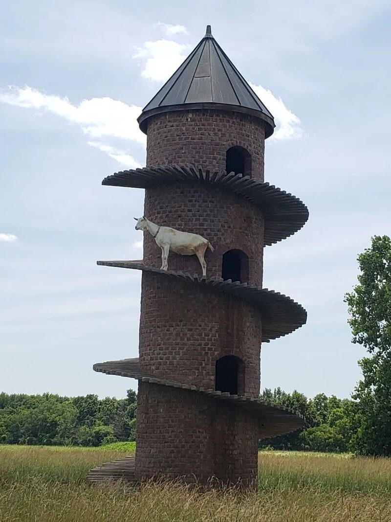 This Illinois Tower Was Built Exclusively for Swiss Goats