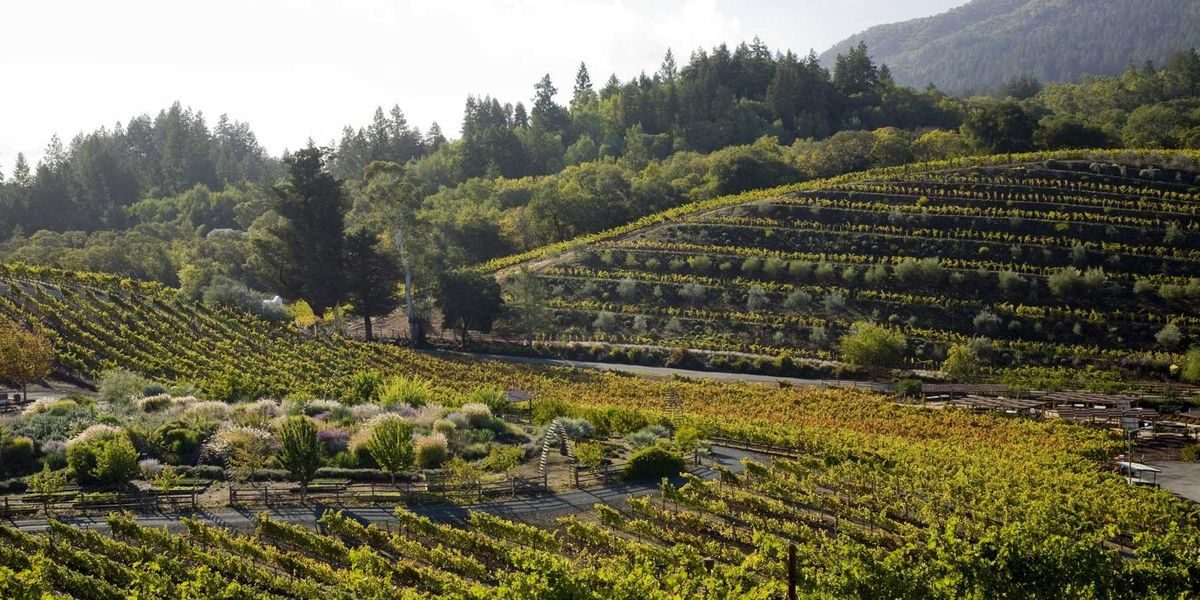 A Modern Guide to Glen Ellen, A Tiny Gem in Sonoma Wine Country
