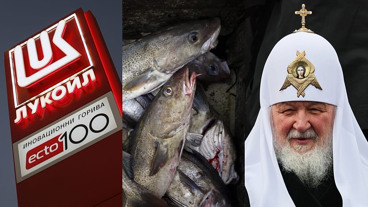 Oil, cod, Kirill: friction points emerge in new EU sanctions against Russia