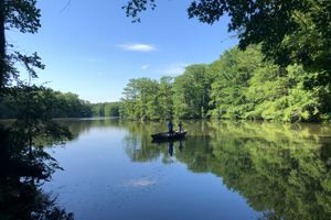 Jolly's Mill Pond in Williamsburg, Virginia