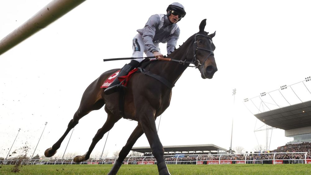 Il Est Francais makes stable debut for Skelton