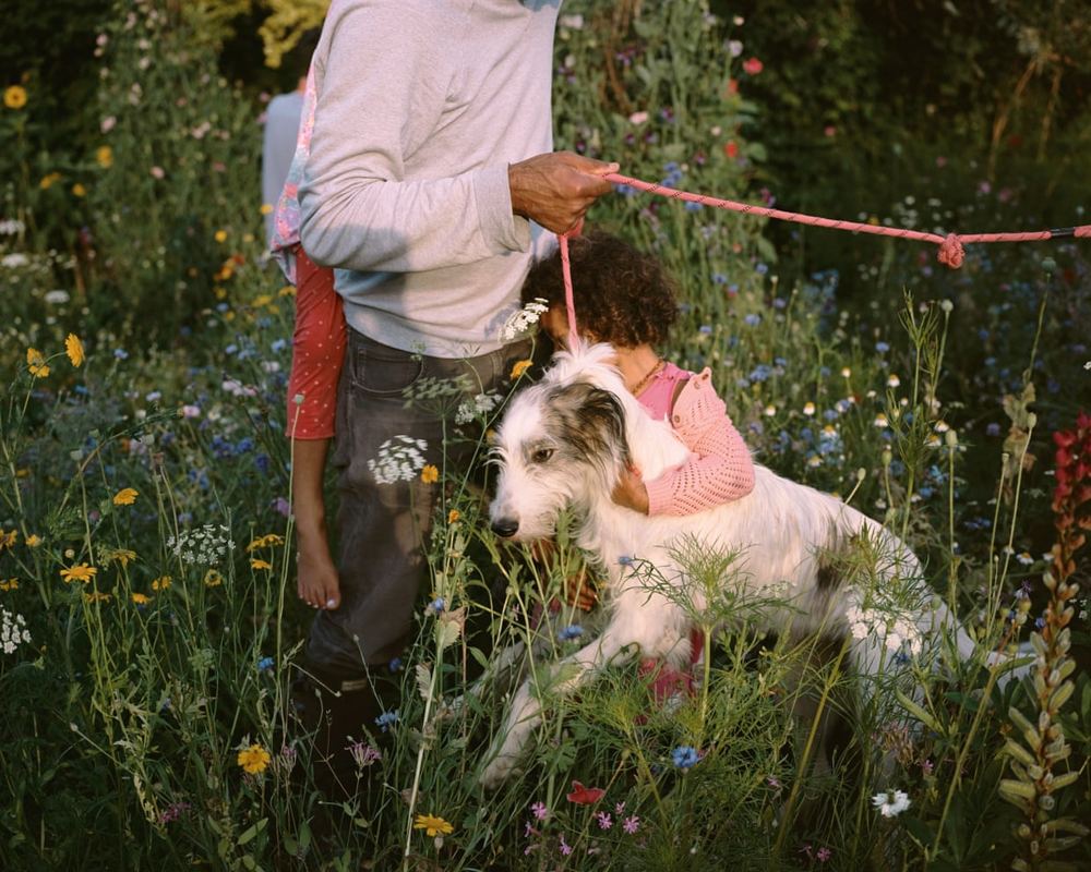 We Are Family: photography from Images Vevey 2026, picture essay