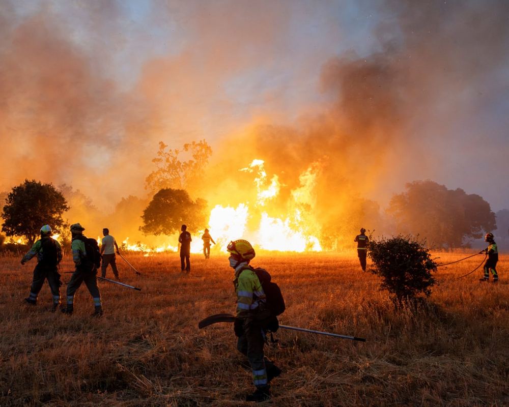Record European wildfires strain public resources and rural economies