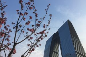 Dongfangzhimen - The Big Pants Building in Suzhou Shi, China