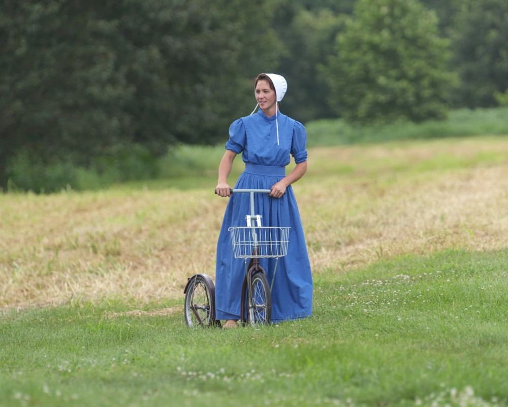 Suddenly Amish review, not one tiny bit of this reality show rings true