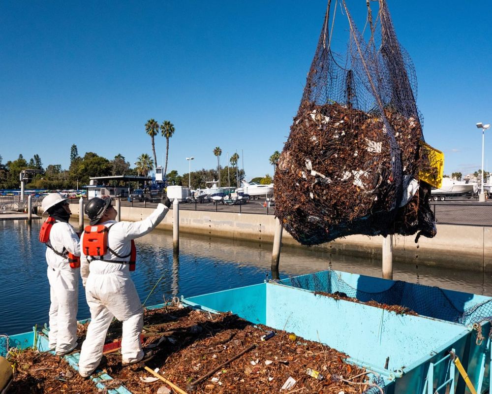 A solar-powered rubbish-eating boat? The vessel chomping plastic waste out of the sea