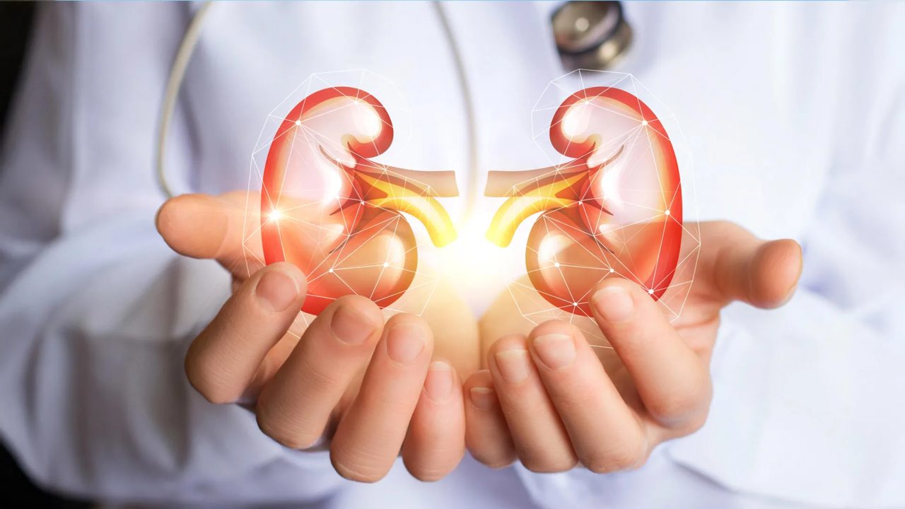 This drug could help millions keep their kidneys working longer