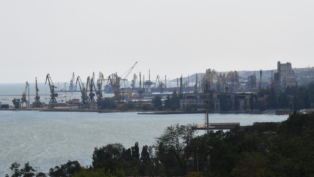 Ukraine strikes 11 ships on key Russian grain route