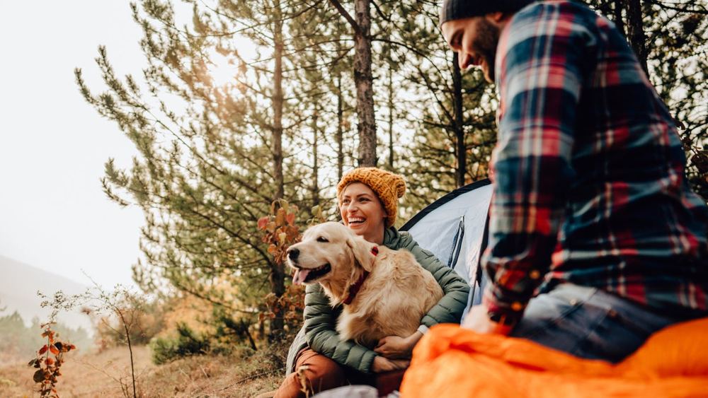 Your Fall Activity Roundup