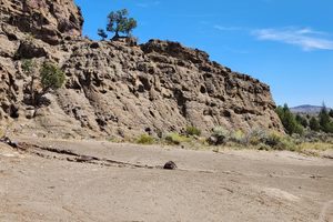 The Lost Forest in Christmas Valley, Oregon