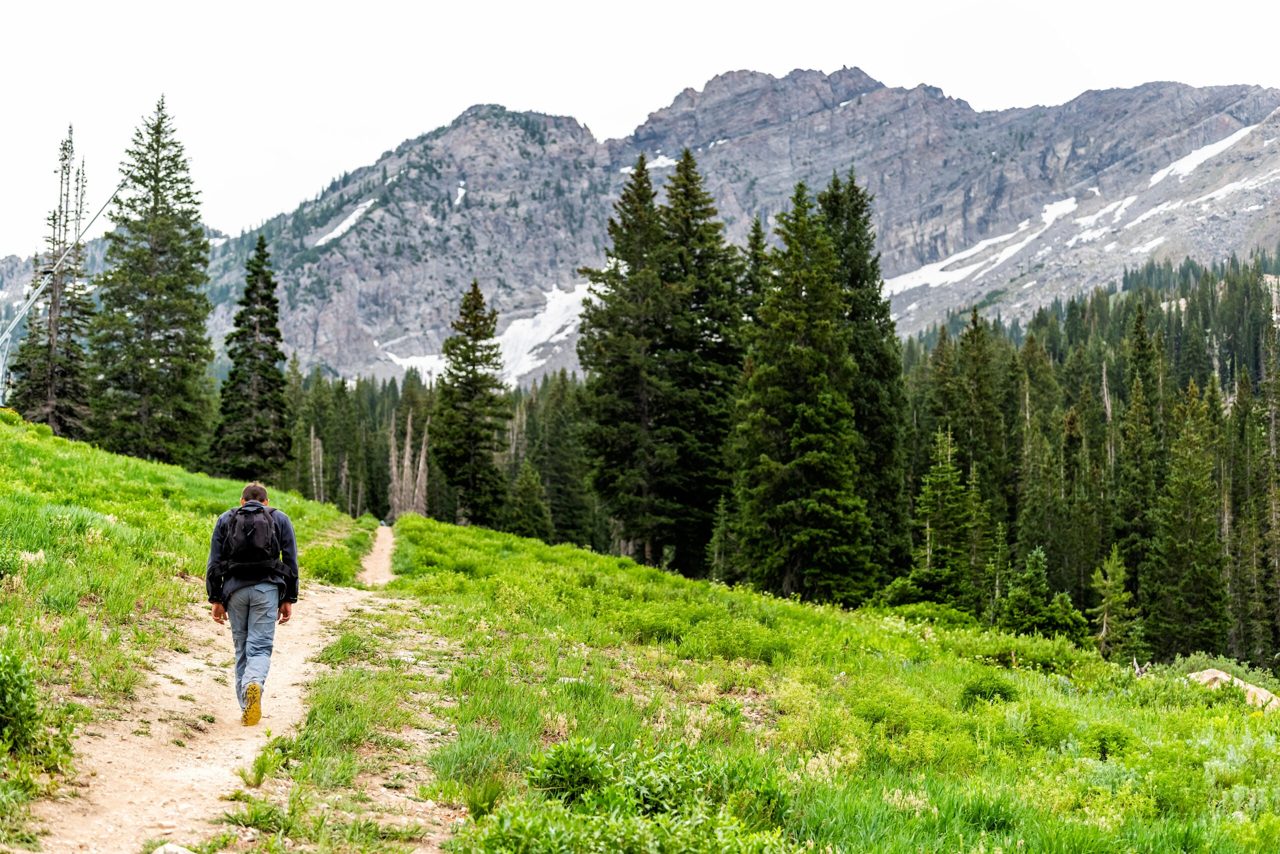 16-Year-Old Hiker Dies After Fatal Fall in Little Cottonwood