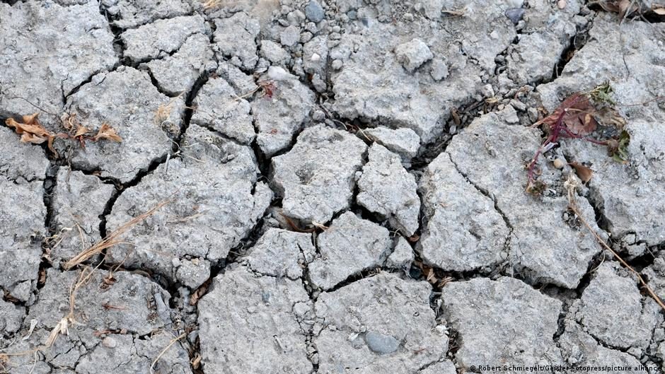 Drought in Germany and Europe are driving up costs