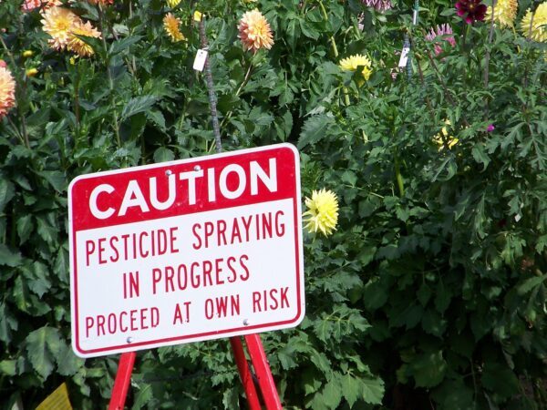 Families of pesticide victims urge MEPs to stop ‘light‑touch’ rules on toxic sprays