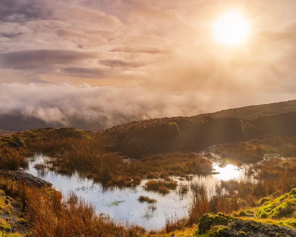 New Irish novel The Red Mouth uses bogs to frame climate dilemma