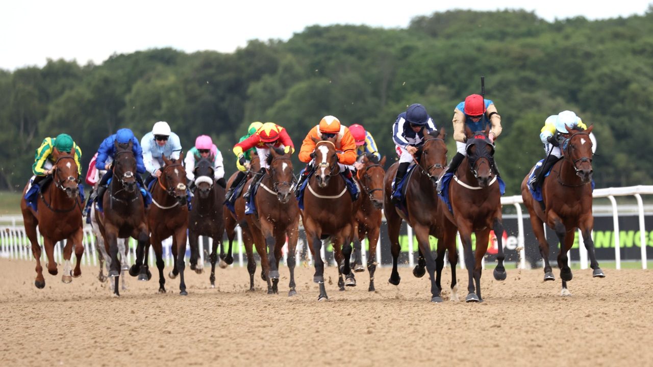Today on Sky Sports Racing: Diamond Rain bids for Newcastle double