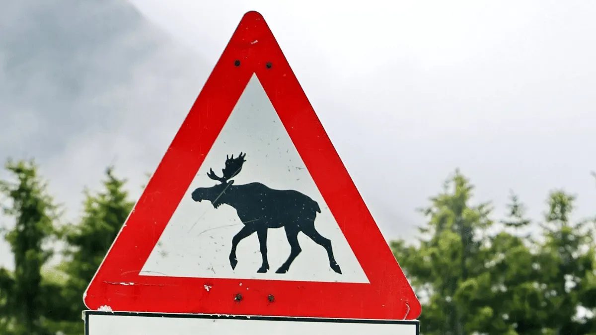 NATO troops suspected of stealing elk signs in Norway