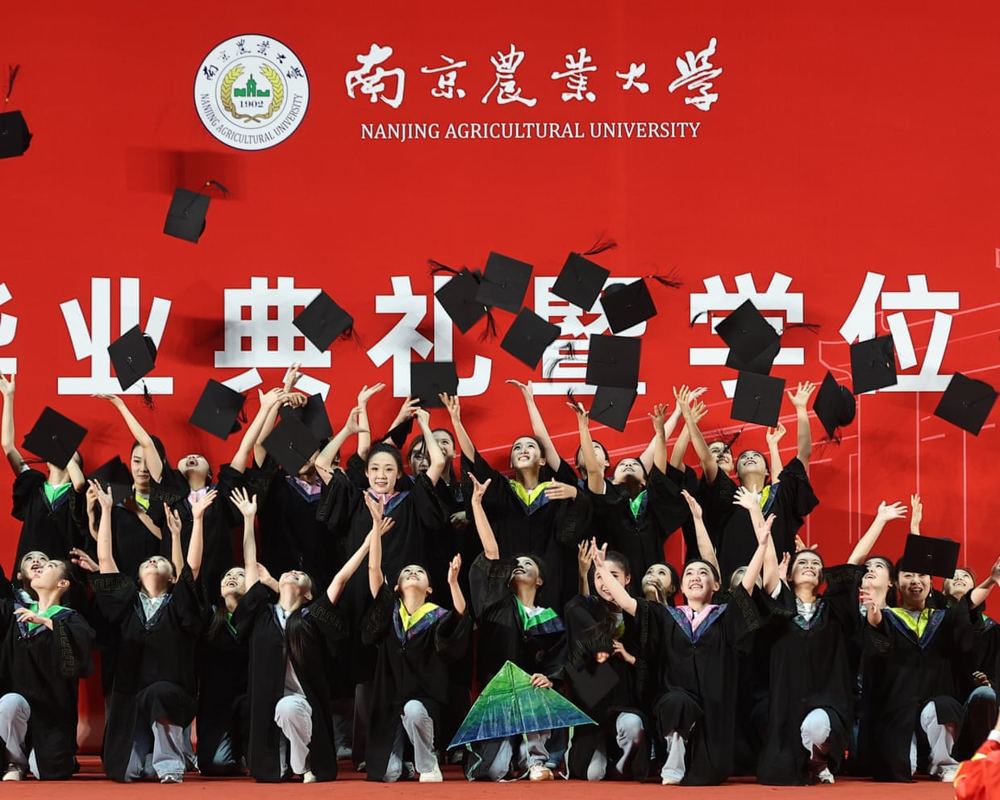 China’s graduate glut: millions of young people enter a job market with little use for them
