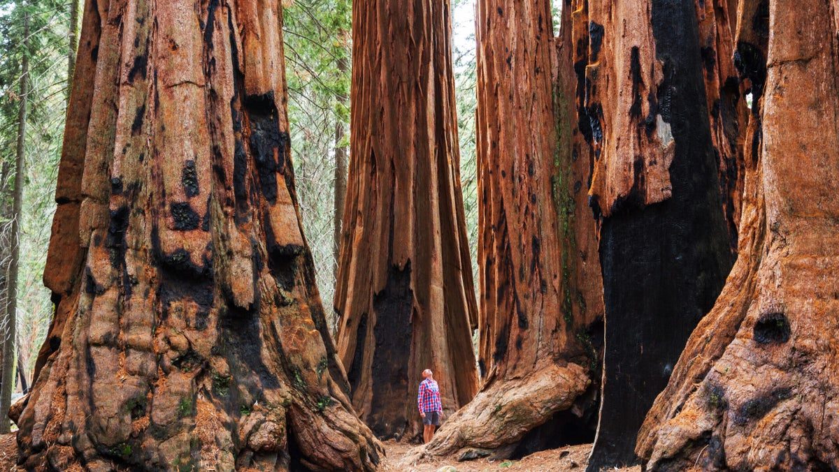 How to Give Yourself a Professional Edge While Supporting Sustainability in the Outdoor Industry