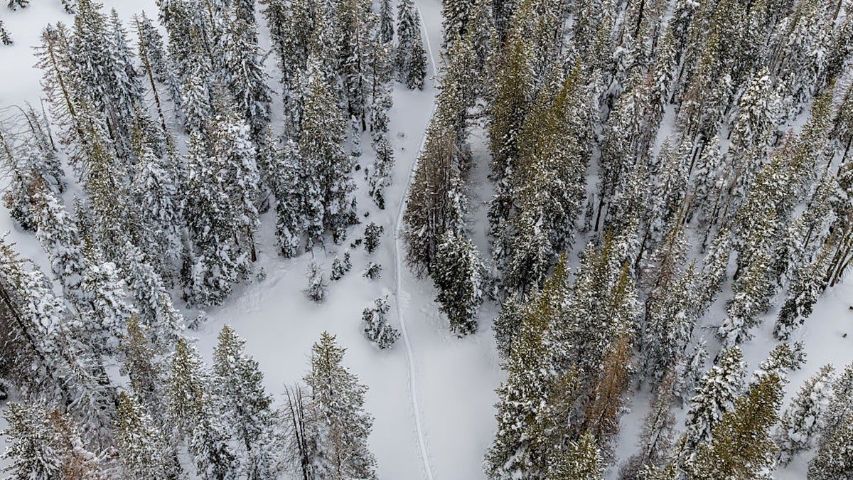 A Guiding Company Faces Hefty Fines After the Deadly Tahoe Avalanche