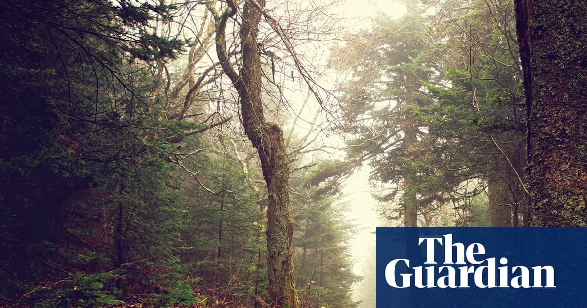 Country People by Daniel Mason review – a joyful follow-up to North Woods