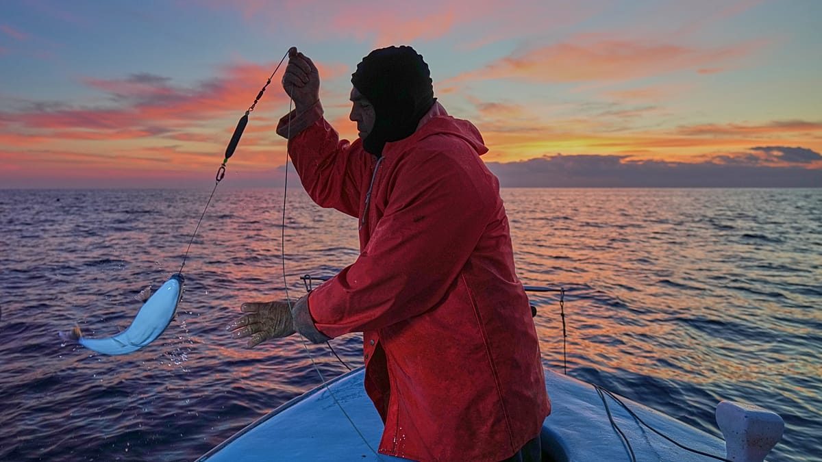 ‘Lost forever’: What does the future look like for a Mediterranean flooded with invasive species?