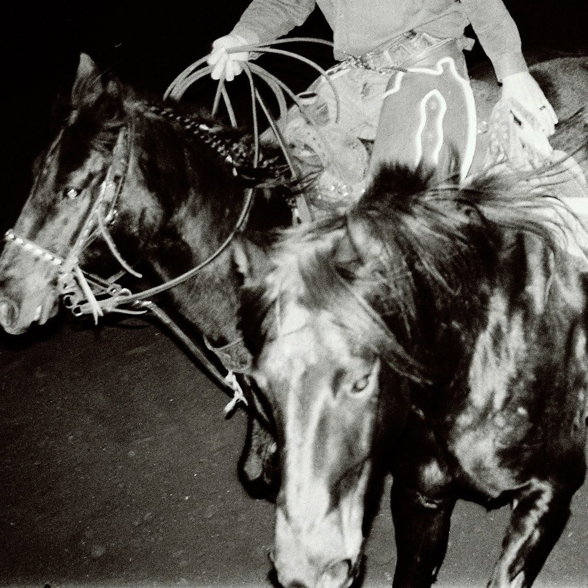 Holy Motors Announce New Album Heaven’s Night: Hear “Tough Crush”
