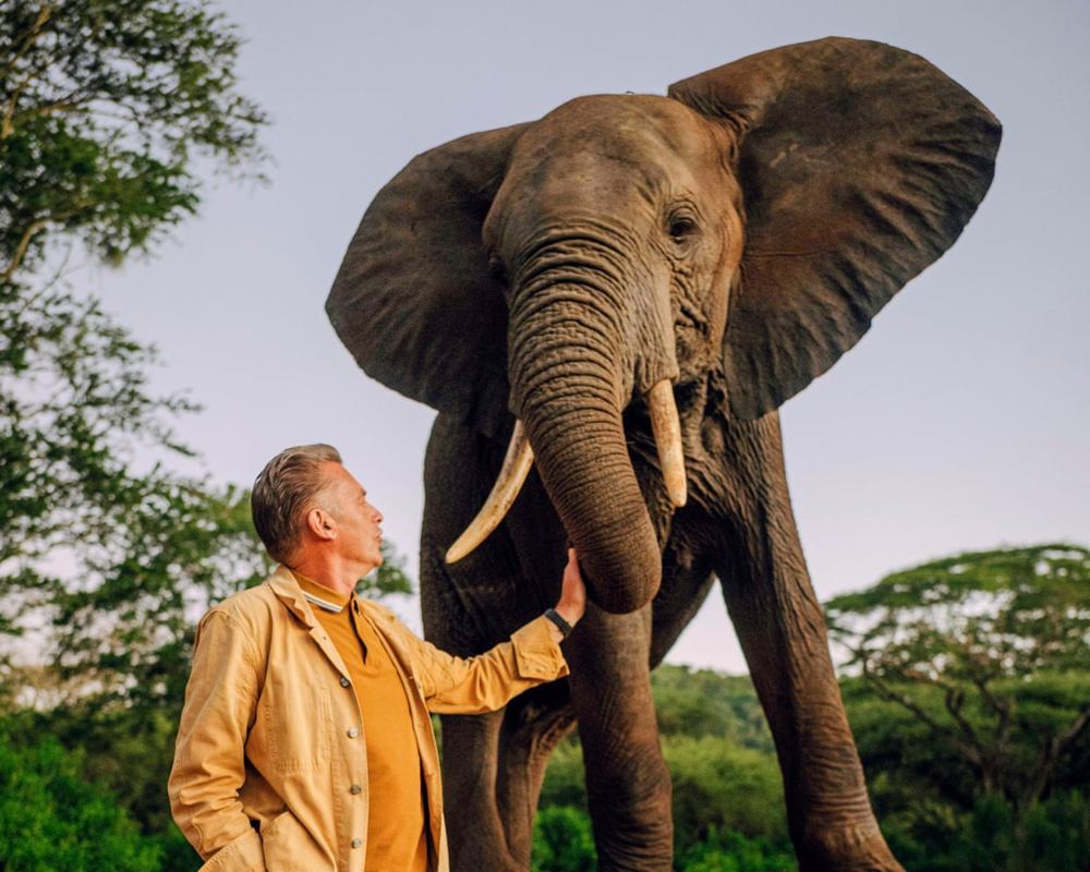 TV tonight: Chris Packham’s wondrous series about evolution