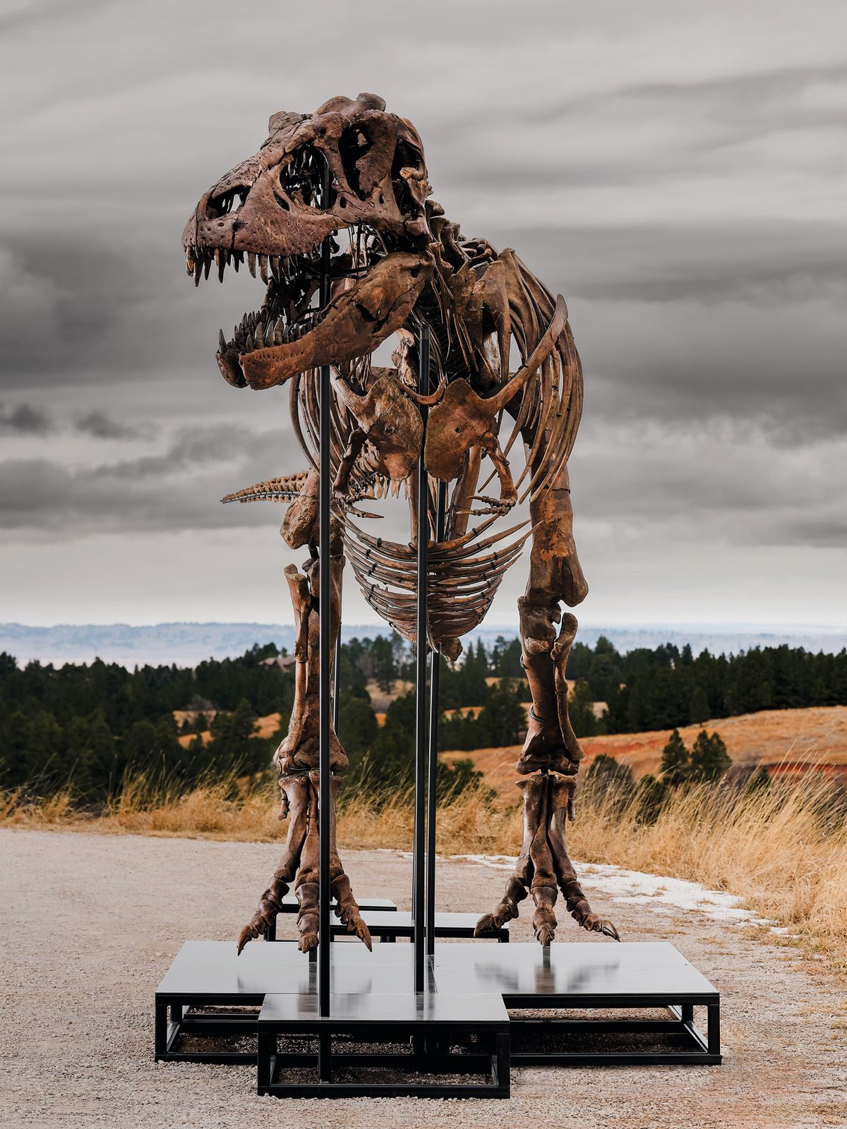 A dinosaur called Gus and a dramatic Highland landscape by Landseer: our pick of the July auctions