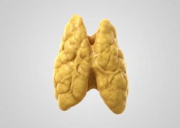 Activating a Key Receptor Fights Thymic Involution in Mice