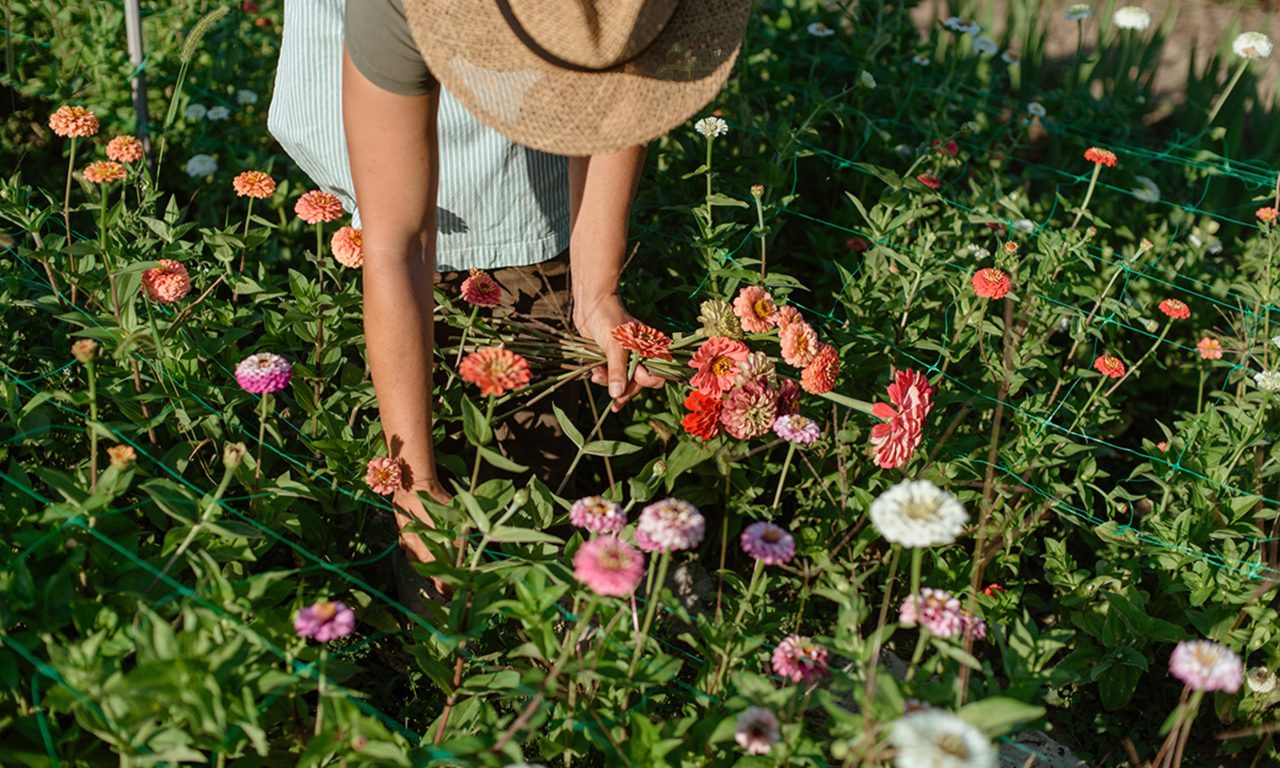 Your Gut Microbiome May Reveal How Fast You're Biologically Aging