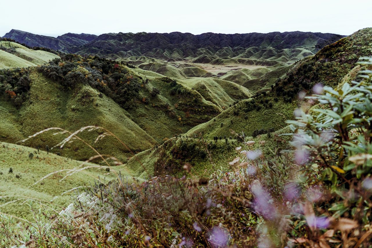 Where to Shop in Nagaland, Northern India's Creative Enclave