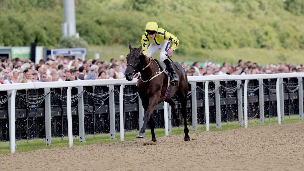 Align The Stars wins Northumberland Plate at Newcastle