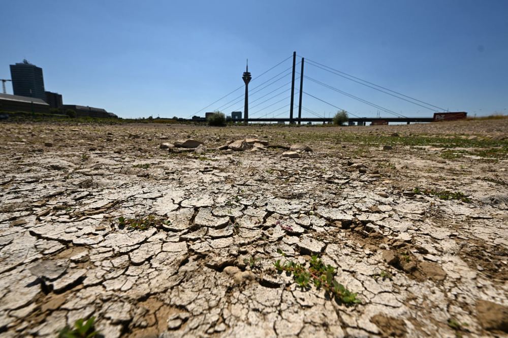 Severe drought halts Danube shipping and forces nuclear reactor shutdowns
