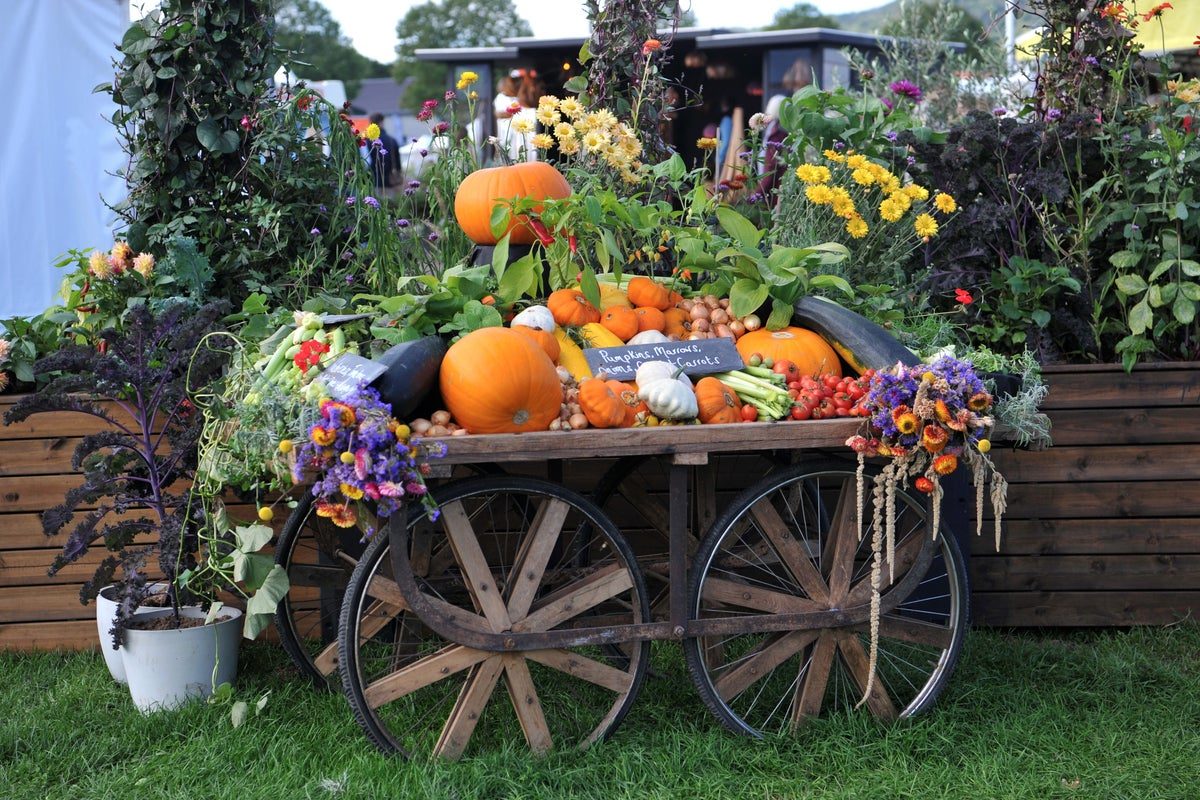 11 garden festivals to savour this autumn