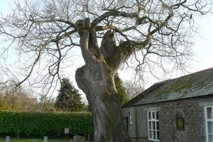 Devil’s Stone in Shebbear, England