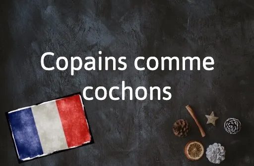 French Expression of The Day: Copains comme cochons