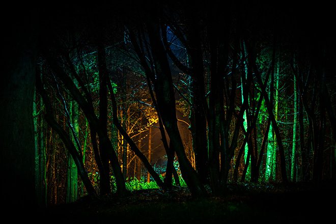 10 people arrested at 300-strong illegal rave in Suffolk forest