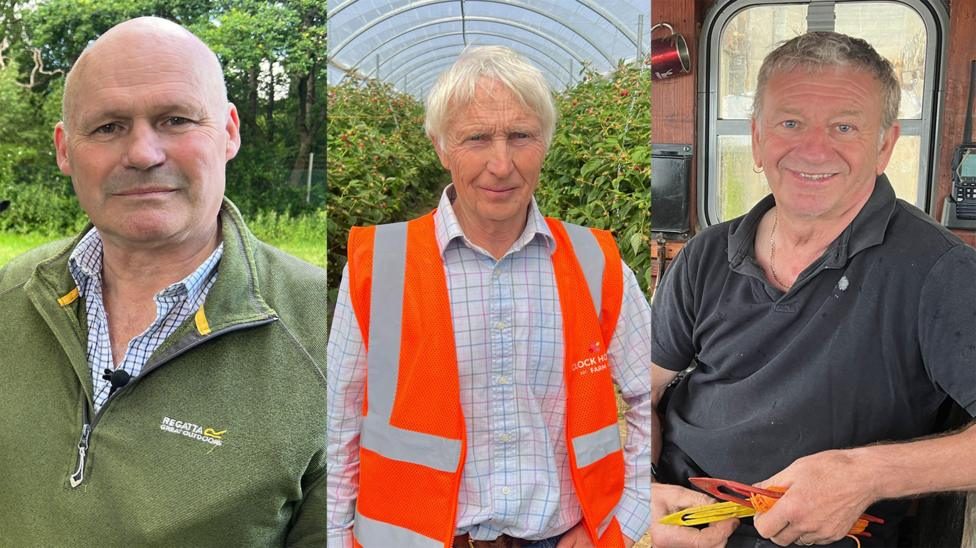 Would farmers and fishermen back Brexit today?