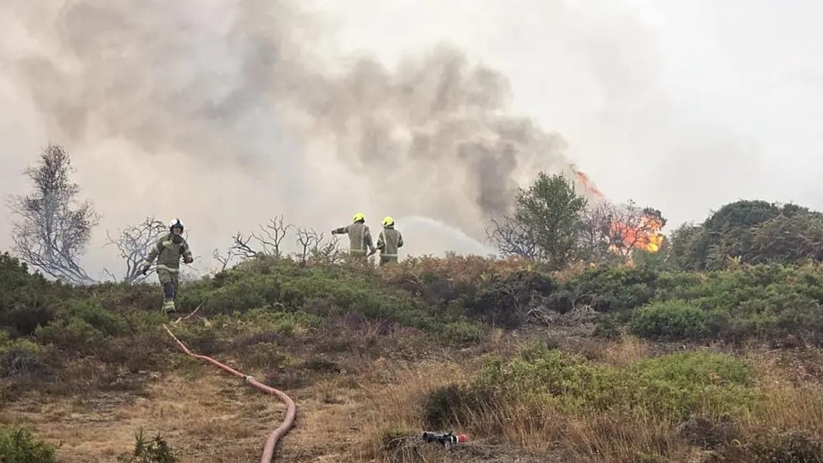 Fire crews tackle blaze close to major nuclear power sites in UK