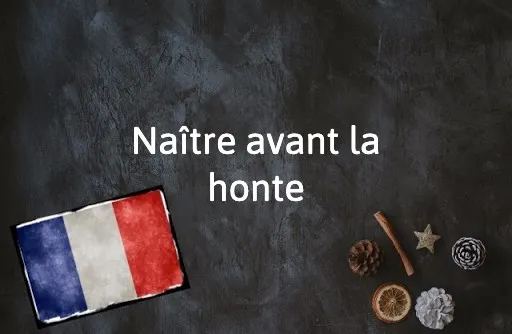 French Expression of the Day: Naîre avant la honte