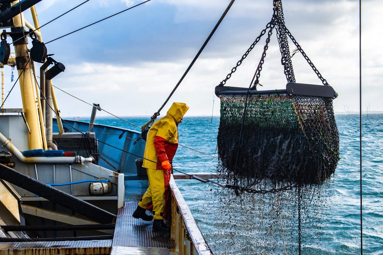 Green groups form legal alliance to end trawling in EU protected seas