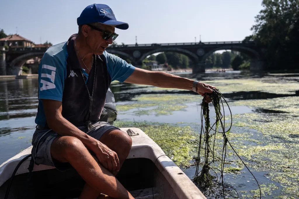 Turin spends 100,000 euros to clear climate-hit River Po algae