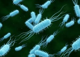 Engineered Enzyme Reverses Age-Related Protein Damage