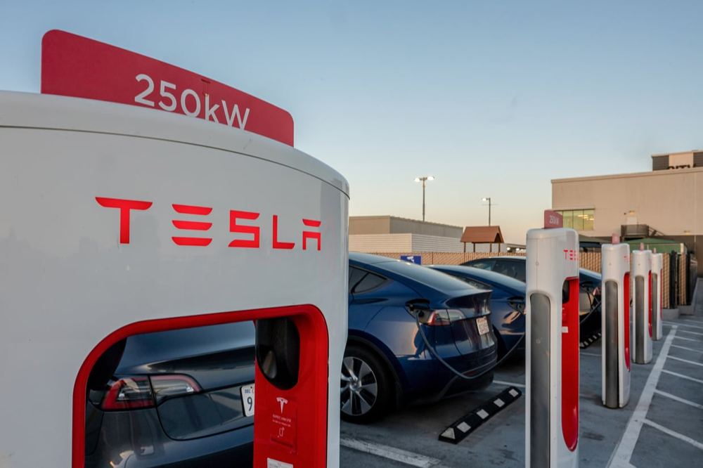 Tesla shares plunge 13.5% as AI spending drags down tech