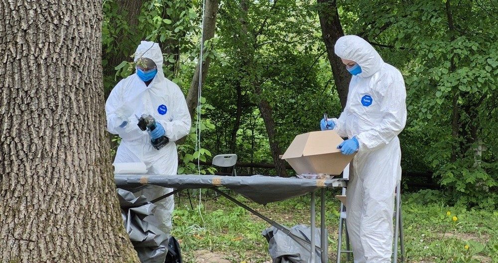 Poland uses DNA testing to identify victims of WWII Ukrainian massacres for first time