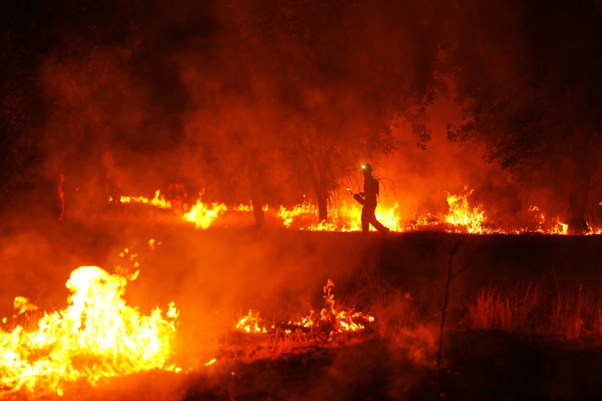 Europe wildfires latest: French evacuation may be largest peacetime exodus as new heatwave hits Bordeaux