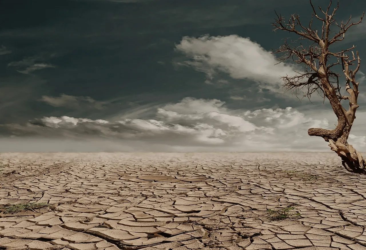 'High danger': How bad is the drought situation in Switzerland right now?