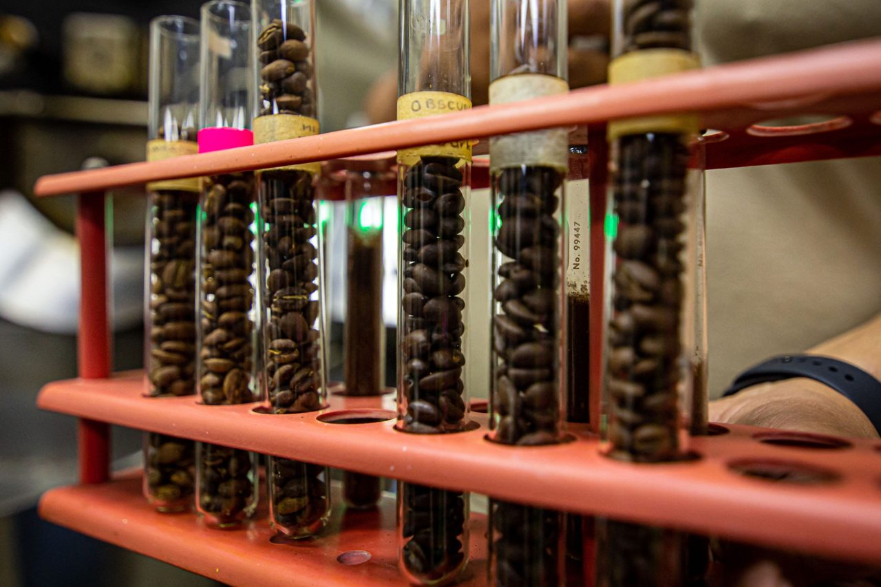Scientists Find That Compounds in Coffee May Activate a Cellular Aging Defense System Beyond Caffeine