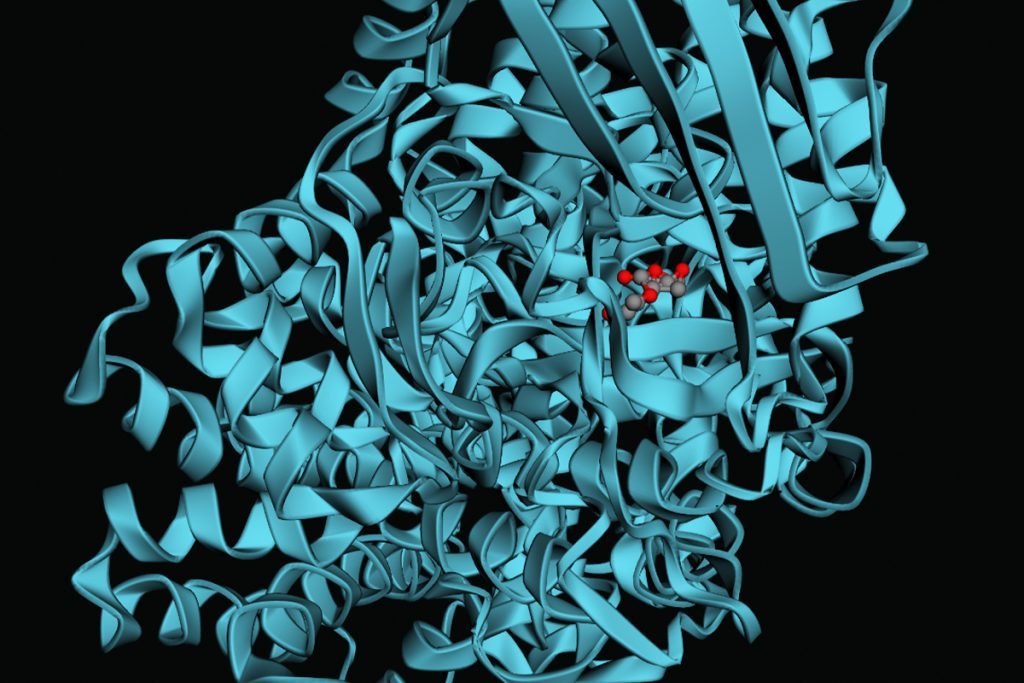 Can AI put the cell back together?
