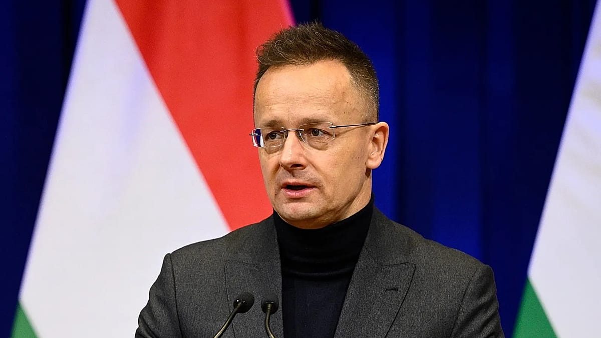 Budapest launches BYD subsidy probe as ex-minister joins firm